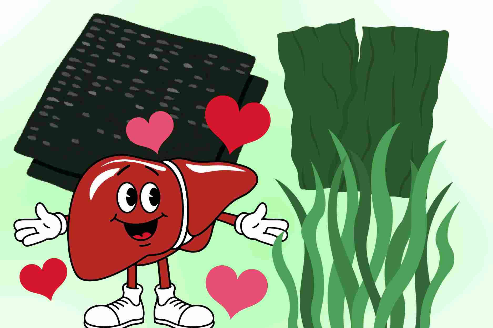 What happens to the liver when you eat seaweed regularly