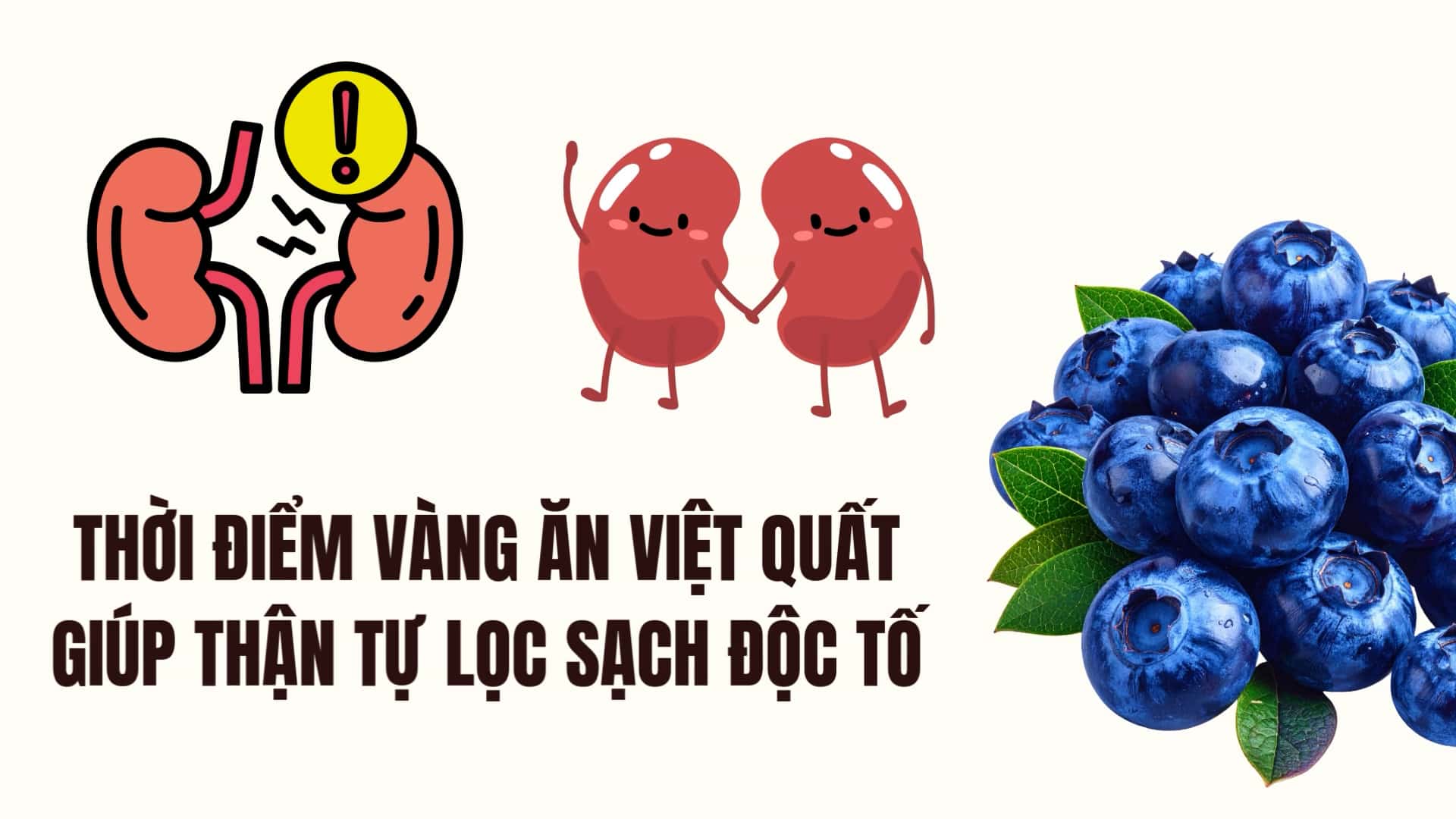 블루베리를 먹는 황금 시간은 신장이 독소를 스스로 걸러내는 데 도움이 됩니다