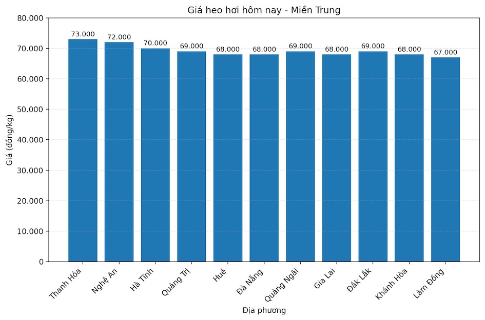 Gia heo hoi hom nay 12.1 tai mien Trung. Do hoa: Thuy Linh.