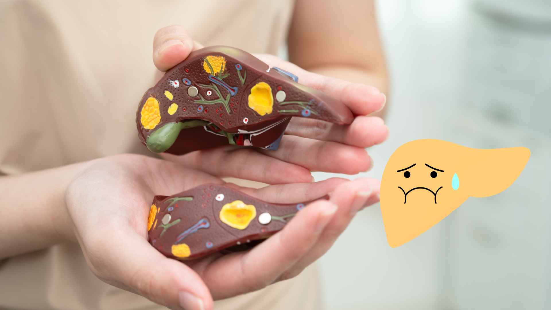 Fatty liver can use chia seeds to support reducing this condition. Graphic photo: Huong Son