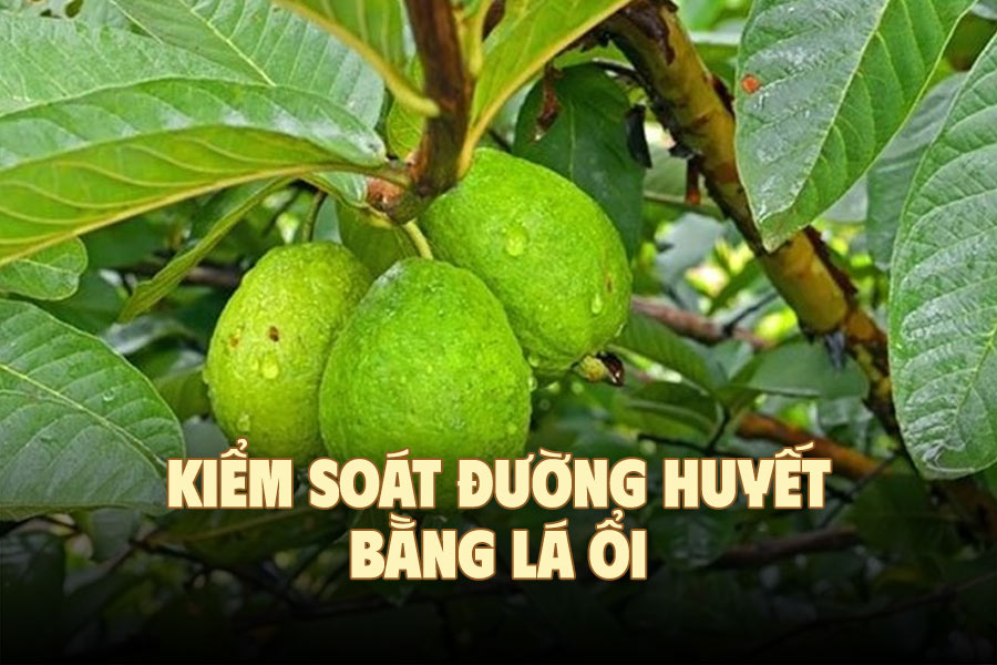 Control blood sugar with guava leaves, remember this important thing