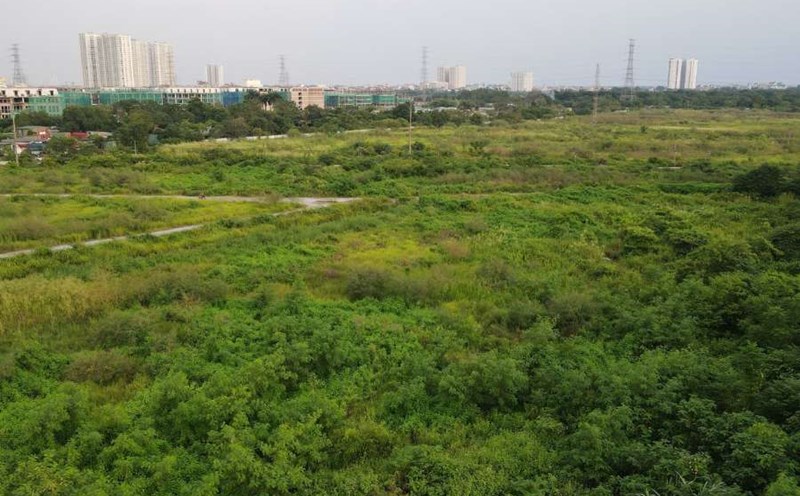 Details of the type of land in the unused land group