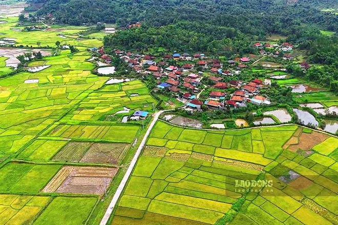 Bản Che Căn, xã Mường Phăng. Ảnh: Quang Đạt