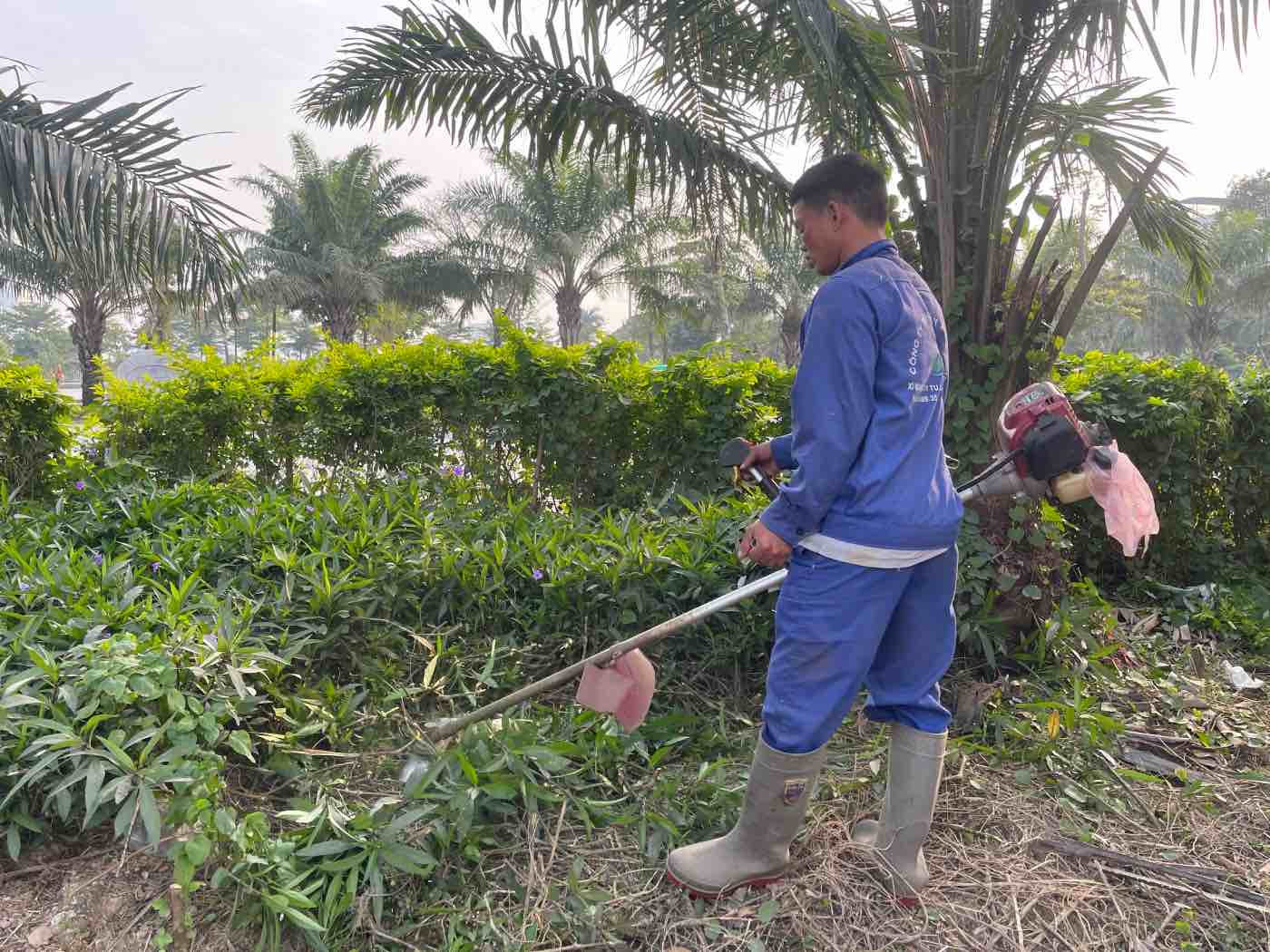 Cong nhan don dep cac bui ram, tia cay xanh. Anh: Khanh An