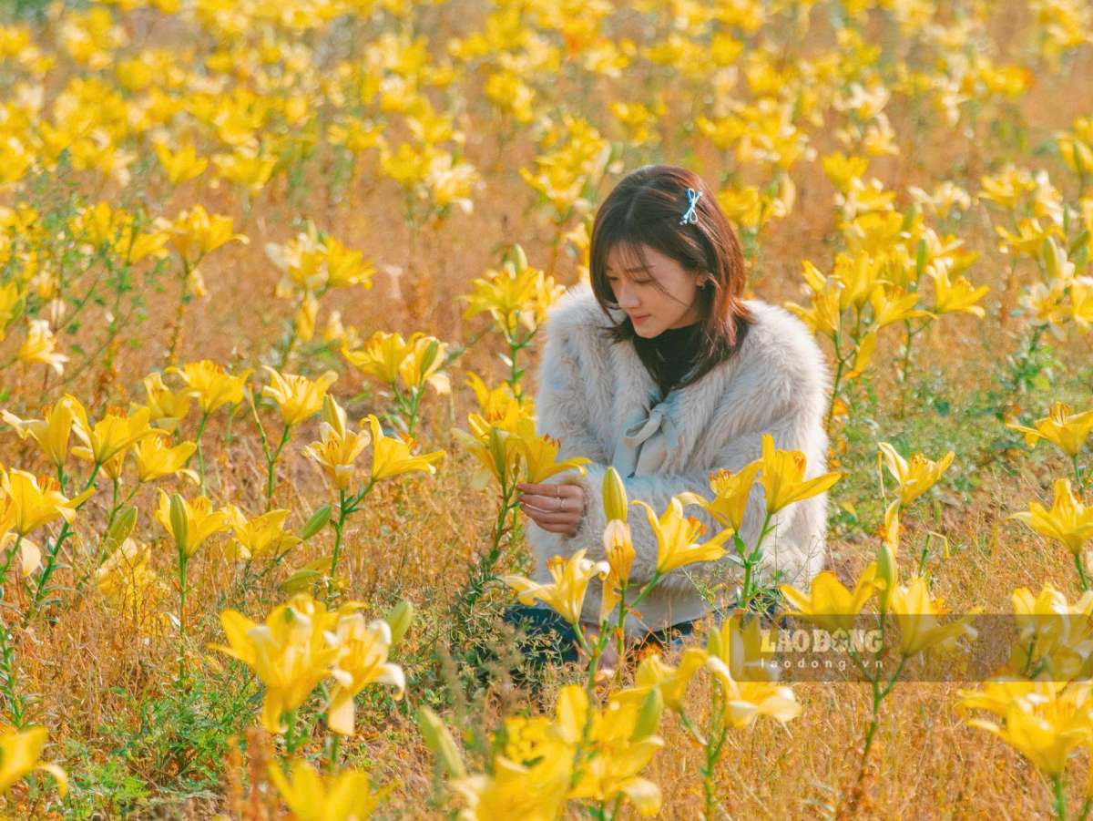 Thoi diem dep nhat de chup la truoc 10h sang, va 4h chieu