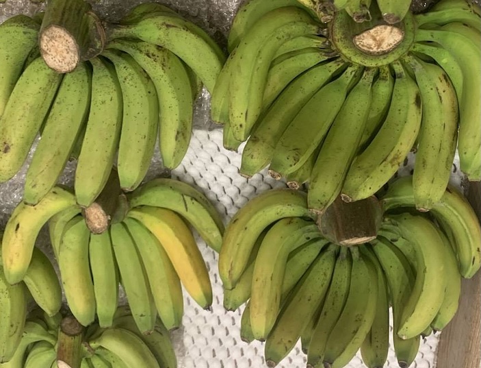 Bananas are a fruit suitable for workers in supporting natural sleep. Photo: Kieu Vu