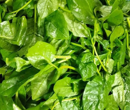 Malabar spinach is one of the choices for a blood-boosting diet. Photo: Kieu Vu