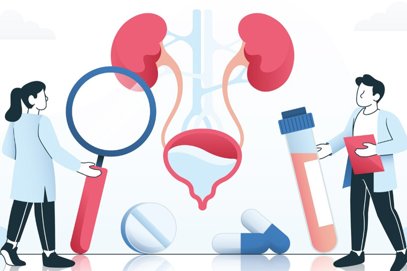 Abusing pain relievers can silently cause kidney damage. Graphics: Thien Nhan
