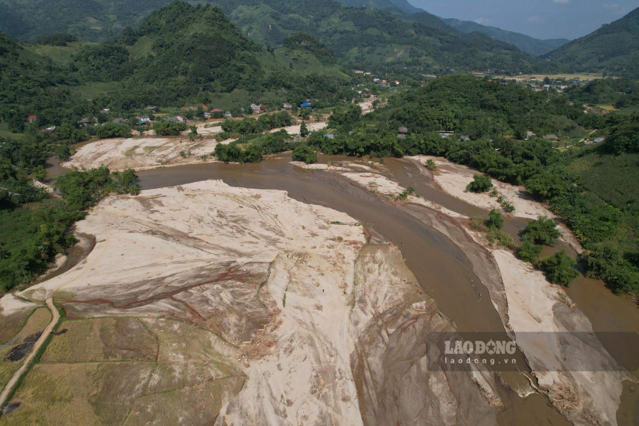 Neu tan thu va dau gia, so tien thu ve khoang 30 ti dong. Anh: Van Duc