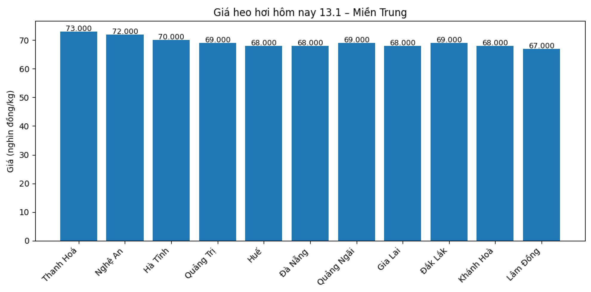 Gia heo hoi hom nay 13.1 tai khu vuc mien Trung. Do hoa: Thuy Linh