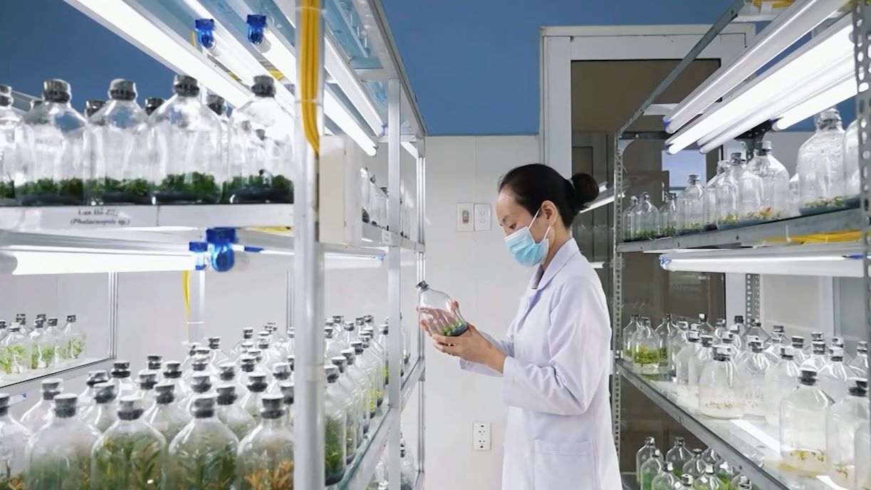 다낭은 중국 기업과 스타트업 생태계를 연결합니다. 사진: 쩐 티