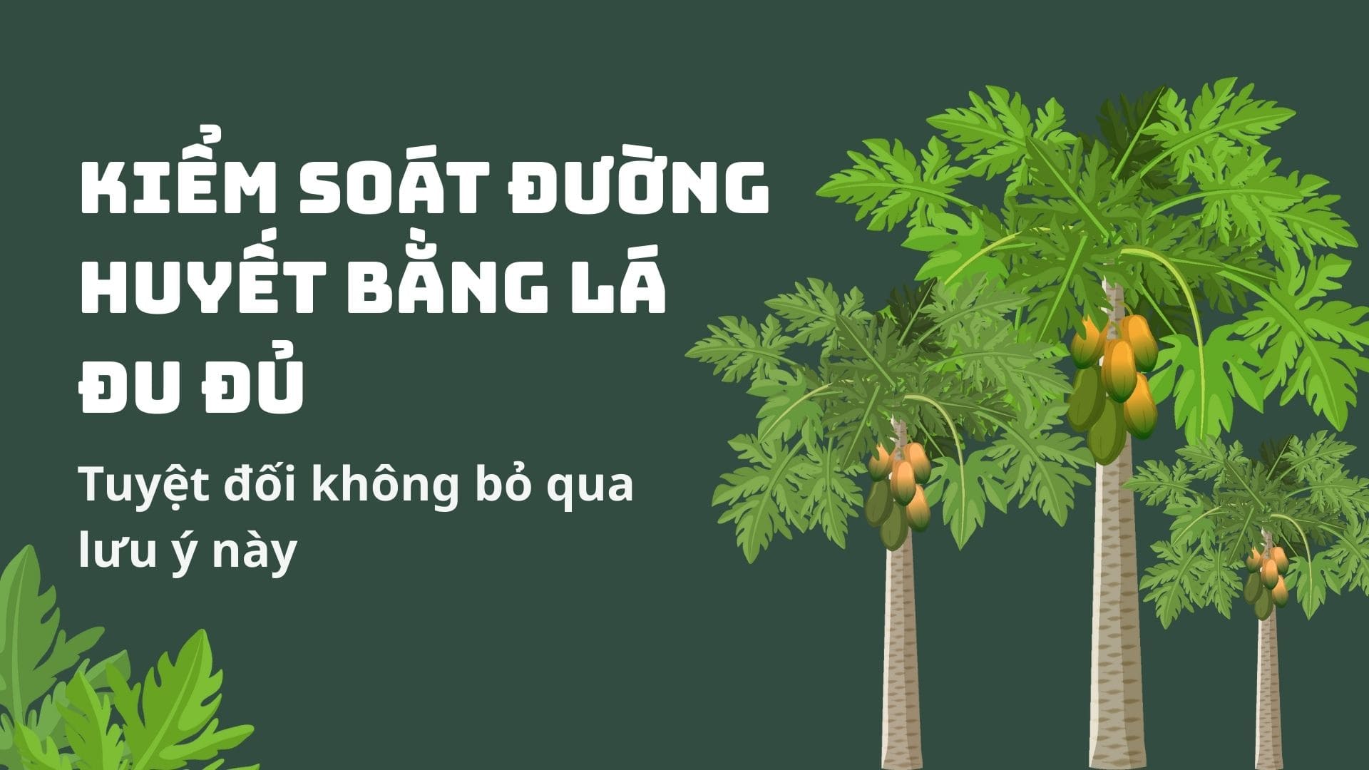 Control blood sugar with papaya leaves absolutely do not ignore this note