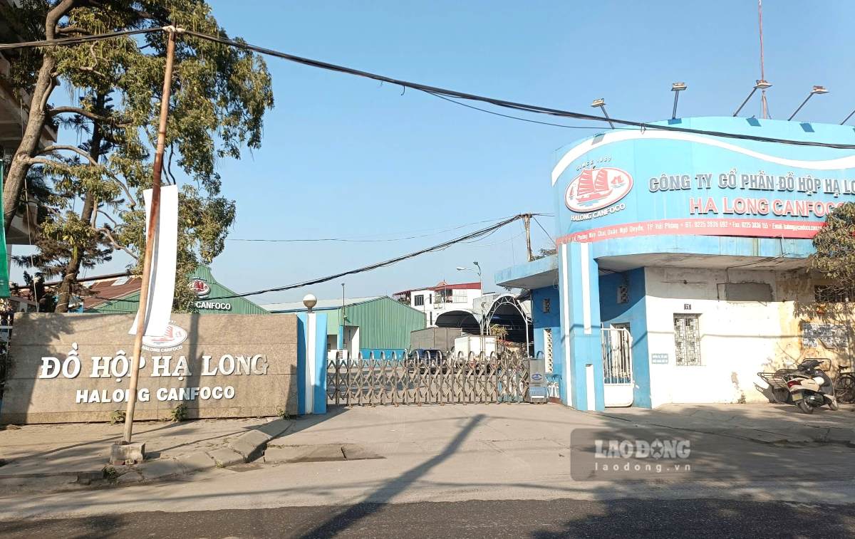 Ha Long Canned Food Joint Stock Company gives employees a 14-day leave. Photo: Mai Dung