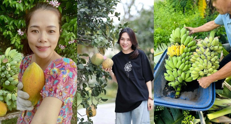 Vietnamese stars own a large garden in Ho Chi Minh City. Photo: Artist provided.