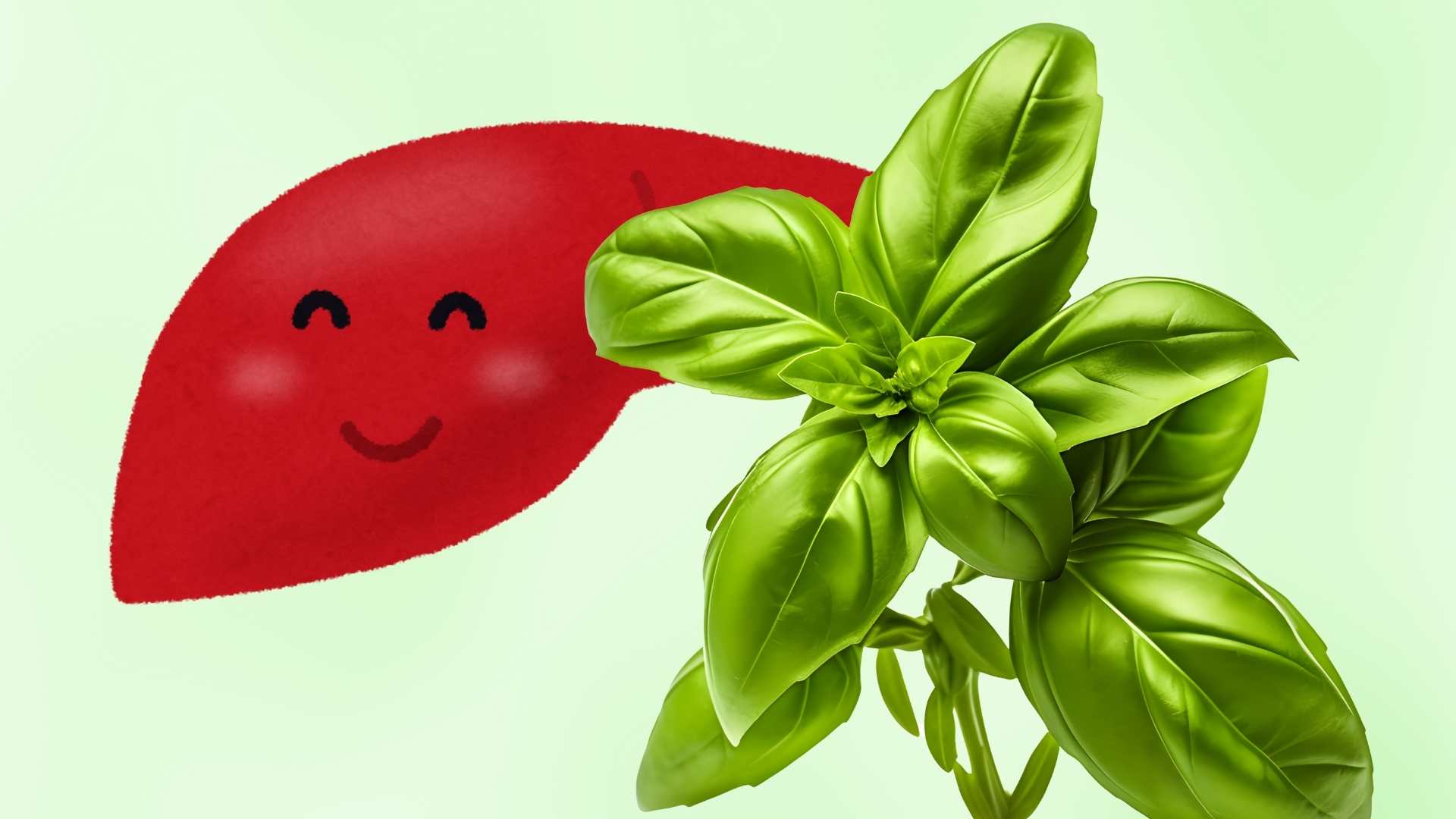 Familiar herb with liver detoxification effect