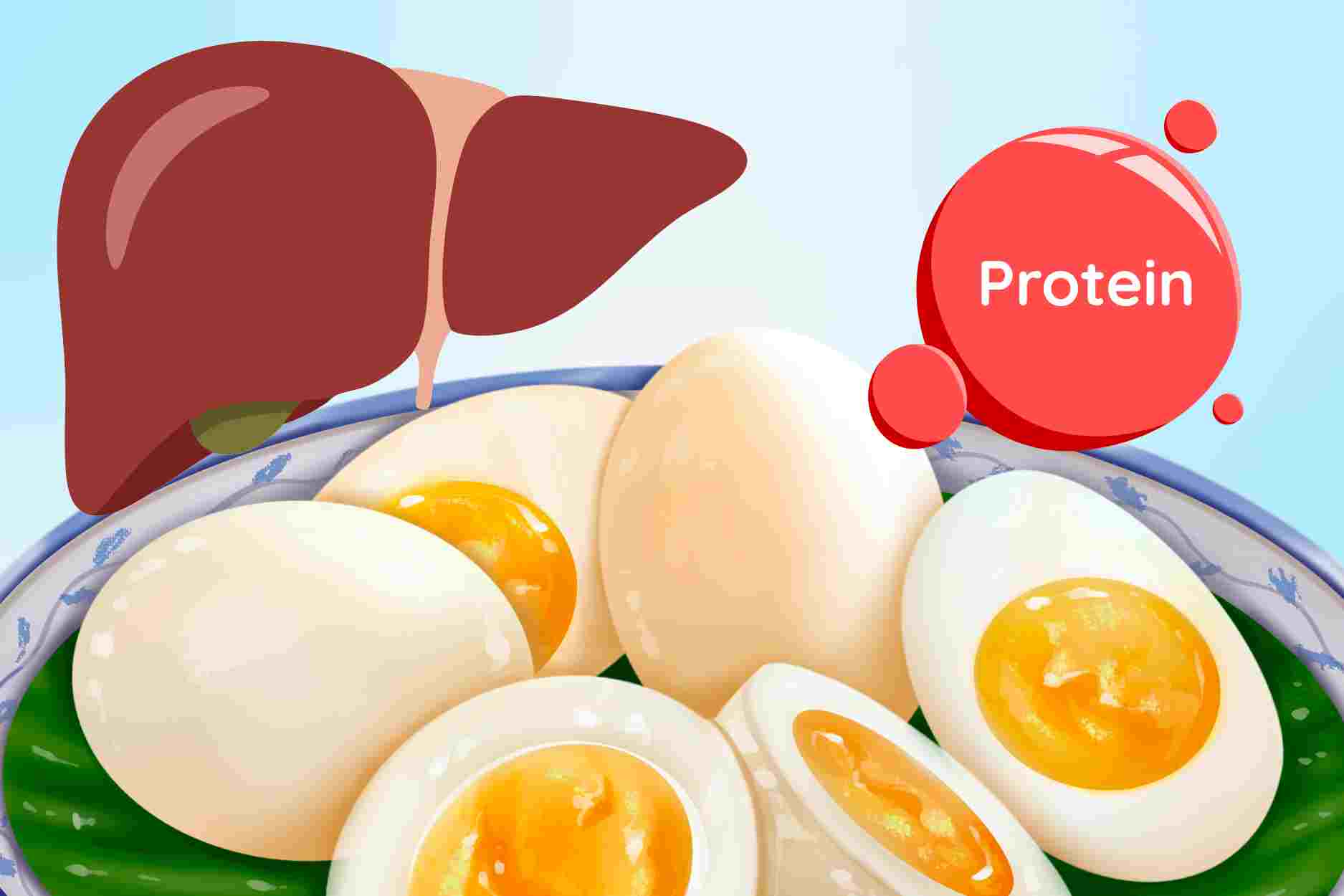 What happens to the liver when eating eggs regularly