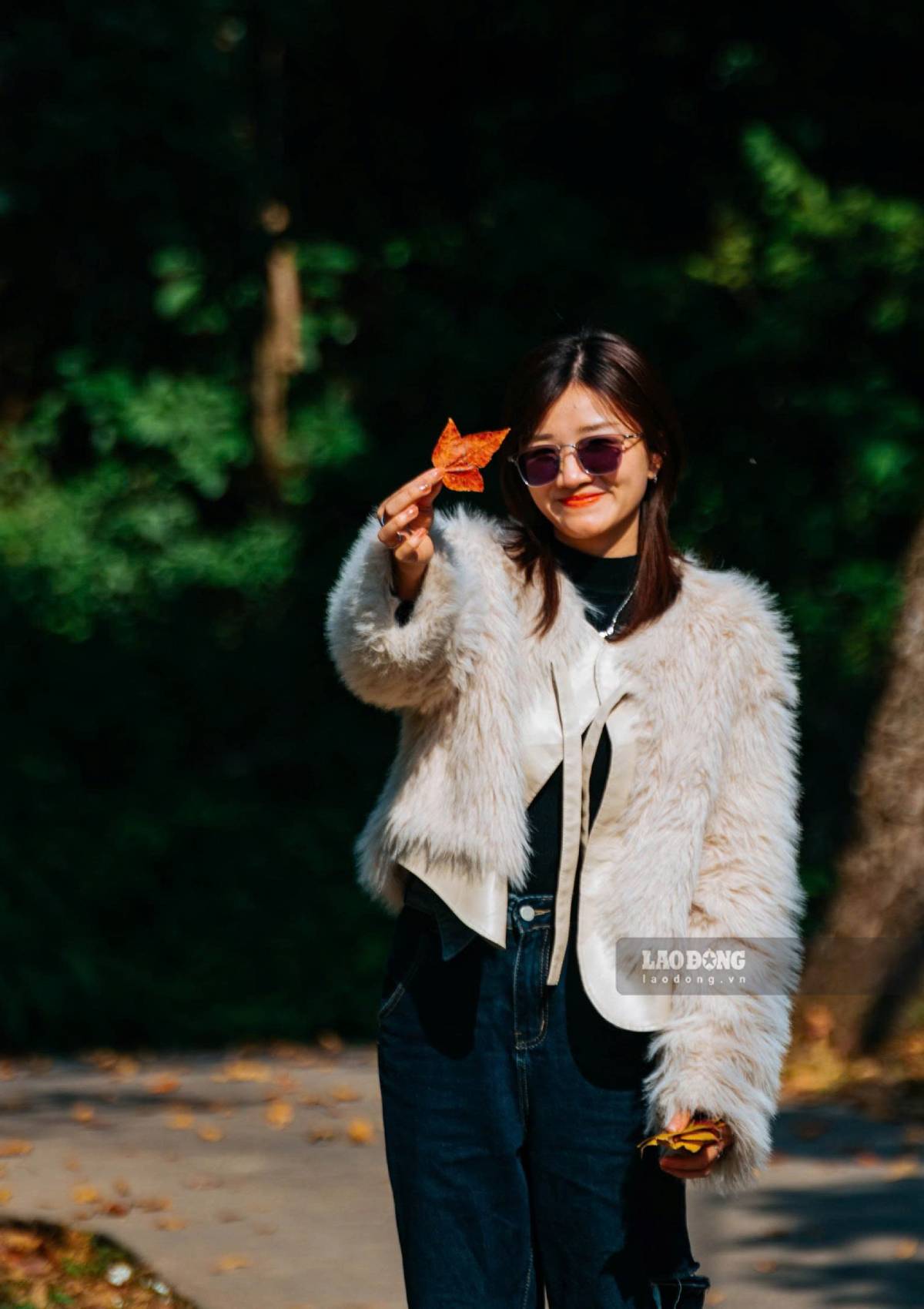 Thoi diem la phong dep nhat thuong keo dai trong khoang vai tuan, thu hut dong dao du khach, phat tu va nguoi yeu nhiep anh tim ve tham quan, chiem bai de luu giu nhung khoanh khac dac biet. Duoi anh nang, sac do, vang cua la phong noi bat tren nen mai chua reu phong, tao nen buc tranh thien nhien hiem co o mien Bac. Anh: Trong Cung