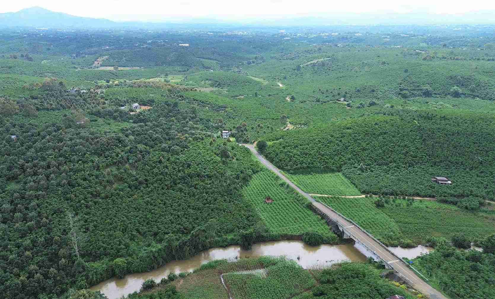 Cao toc Bao Loc - Lien Khuong, doan di qua dia phan Phuong 1 Bao Loc. Anh: Phuc Khanh 