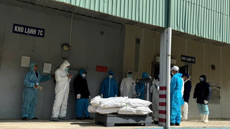 Inter-sectoral forces of Hai Phong City organize sampling for meat testing in the cold storage of Ha Long Canned Food Joint Stock Company. Photo: Functional Service Provider