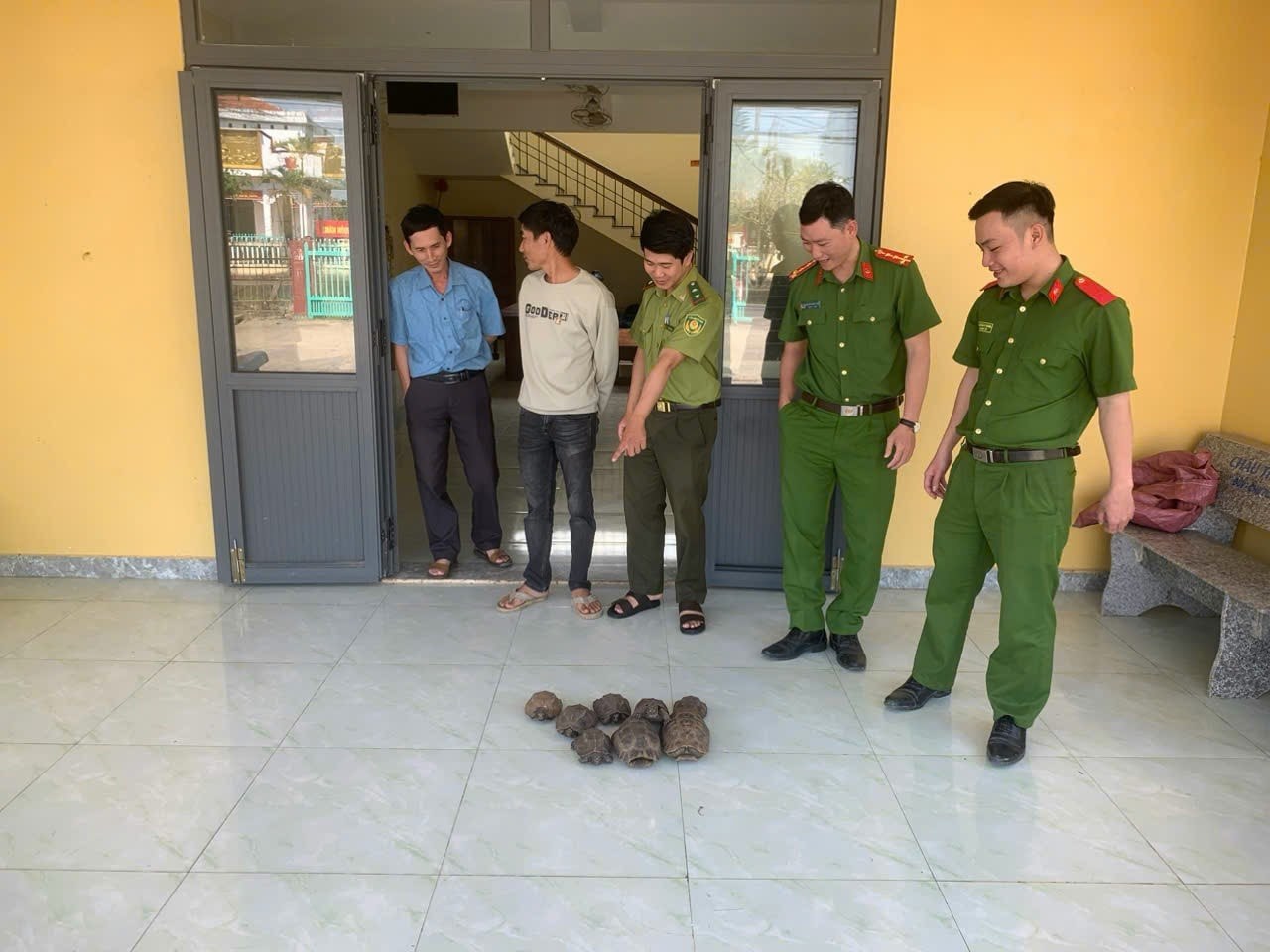People proactively hand over 6 rare turtle individuals to functional agencies. Photo: Police provided