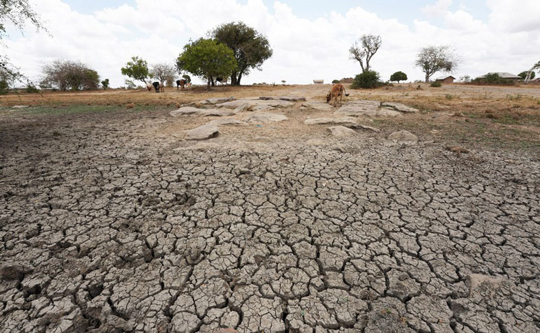 Drought in Kenya in 2022 due to prolonged high temperatures. Photo: Xinhua