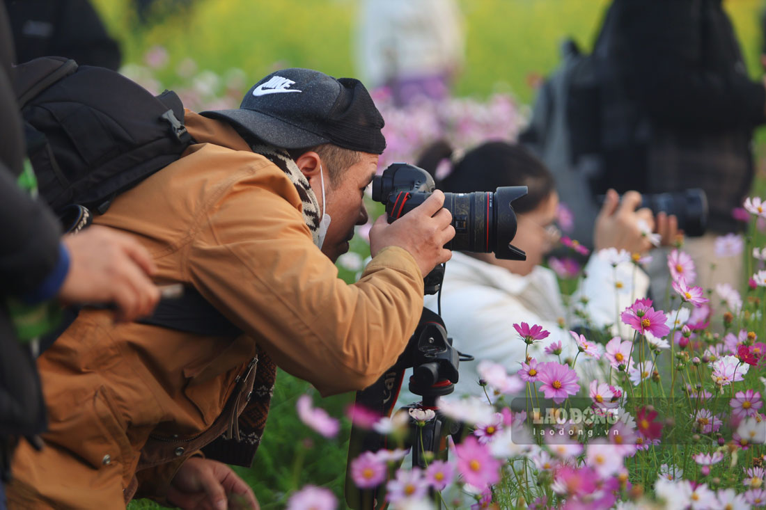 thu hut dong dao tho anh