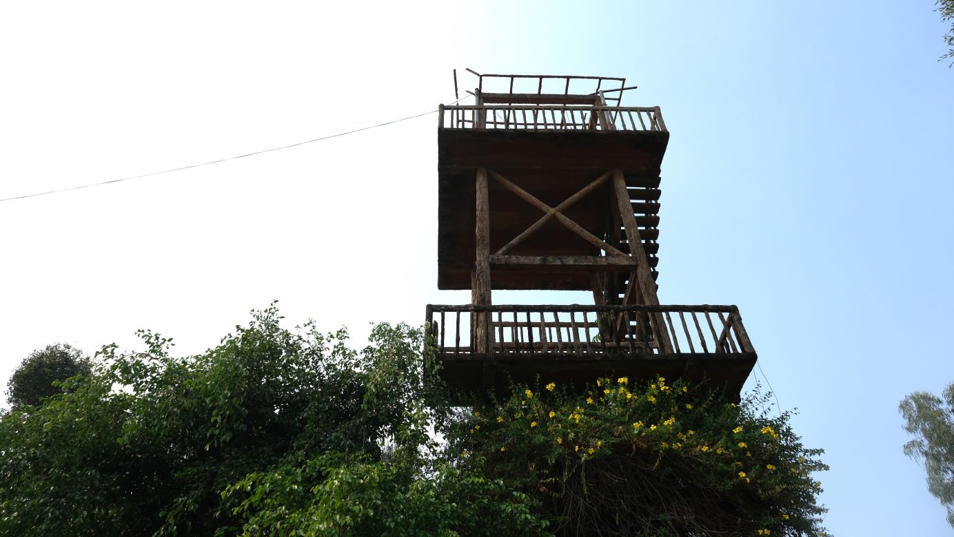 Thap quan sat VQG Tram Chim tu tren cao. Anh: Ngoc Ty.