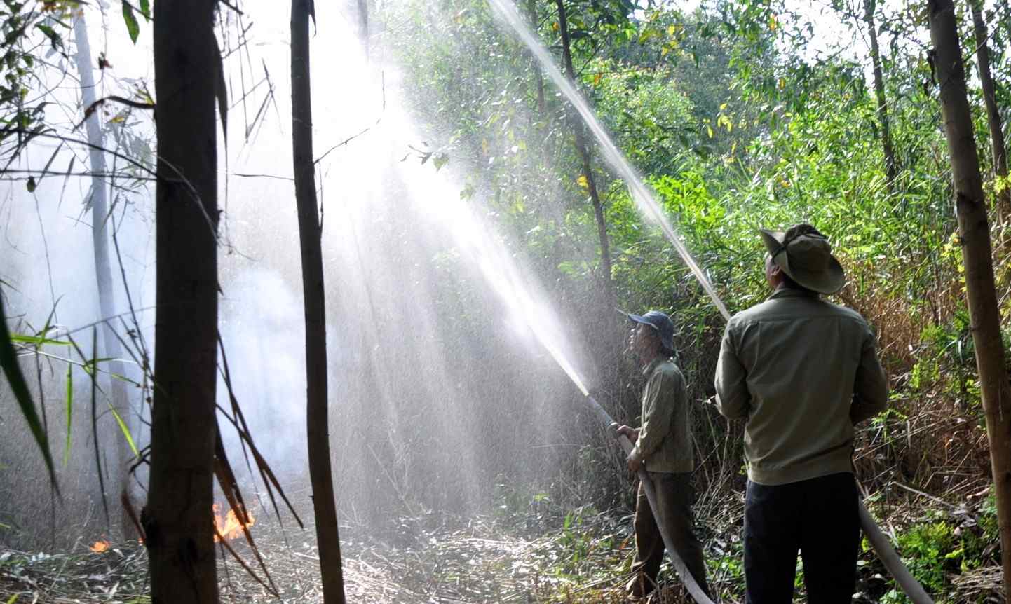 Dien tap phong chong chay rung tai Ca Mau. Anh: Nhat Ho.