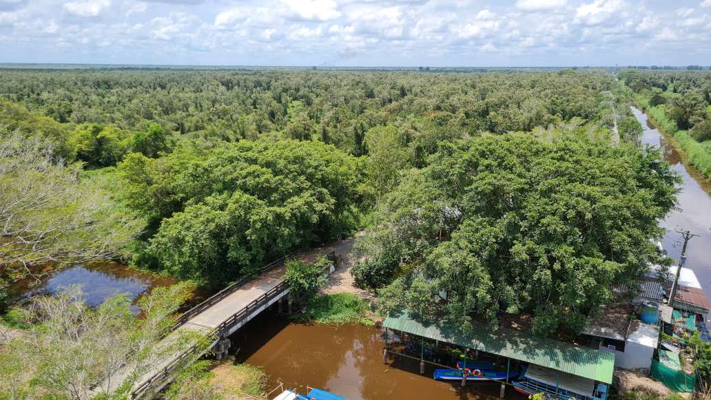 Mot goc Vuon Quoc gia U Minh ha Ca Mau. Anh: Nhat Ho