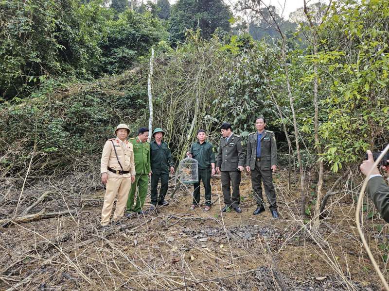 Luc luong chuc nang tha ca the cu li ve voi tu nhien. Anh: Minh Hoang