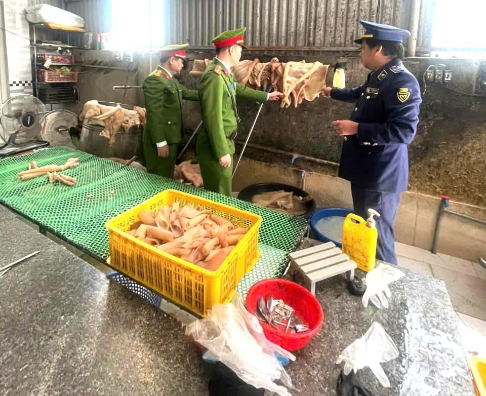 Lực lượng công an kiểm tra, phát hiện số lượng lớn da lợn không rõ nguồn gốc tại hộ kinh doanh ở xã Hưng Nguyên. Ảnh: Ngọc Anh
