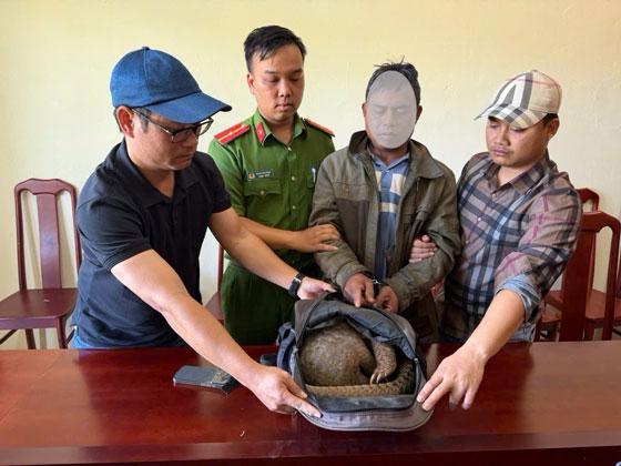 Đối tượng A.K bị bắt giữ cùng tang vật là cá thể tê tê. Ảnh: Công an 