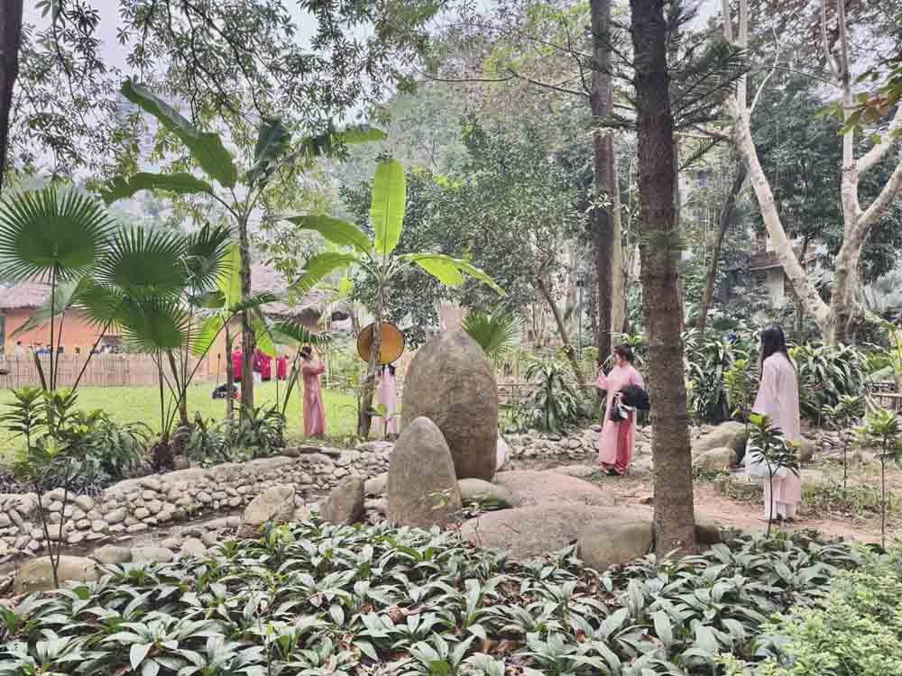 Nhieu nang tho chon goc chup duoi tan cay xanh mat.