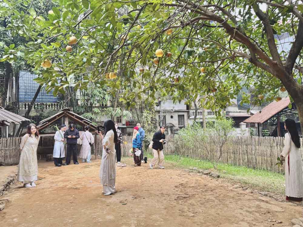 Mot khoang san duoc nhieu nang tho yeu thich chup hinh.