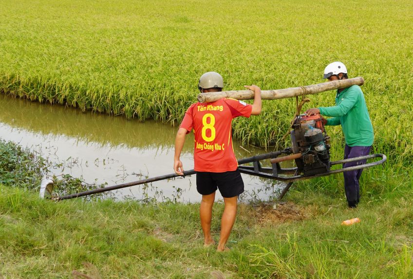 Nhung ruong lua chin nong dan tranh thu bom tat nuoc cho tien thu hoach, nhung ruong con xanh hon thi cung cap nuoc day du cho cay phat trien. Anh: Phuong Anh
