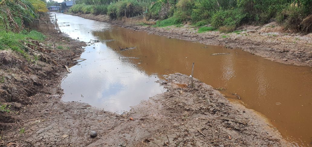 Vao mua kho, tinh Ca Mau thuong xuyen thieu nuoc ngot, nhat la nuoc cho sinh hoat. Anh: Nhat Ho.