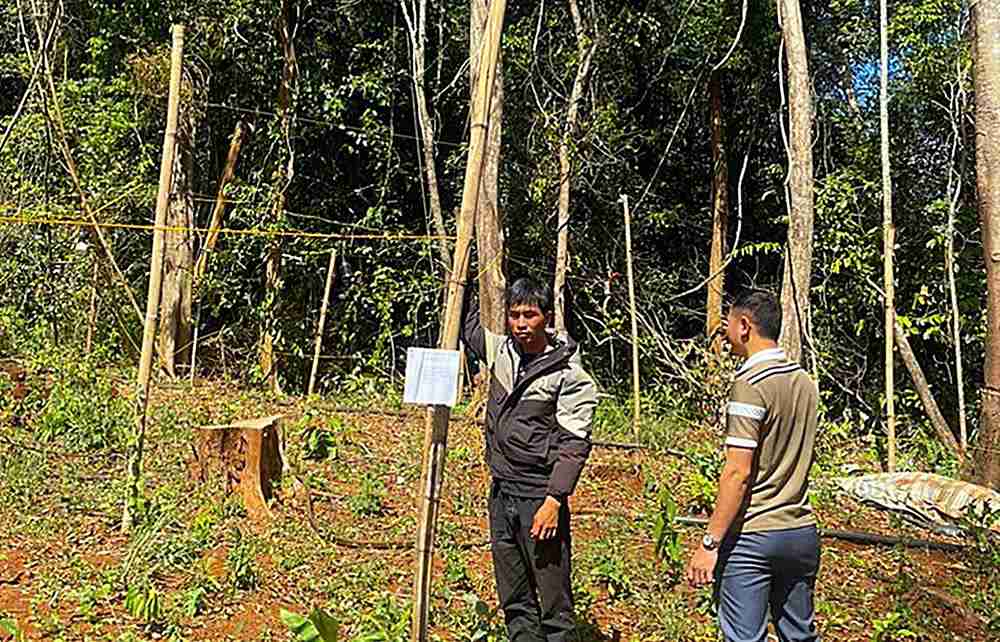 Võ Đăng Phương bị khởi tố về tội trồng cây cần sa. Ảnh: Công an cung cấp