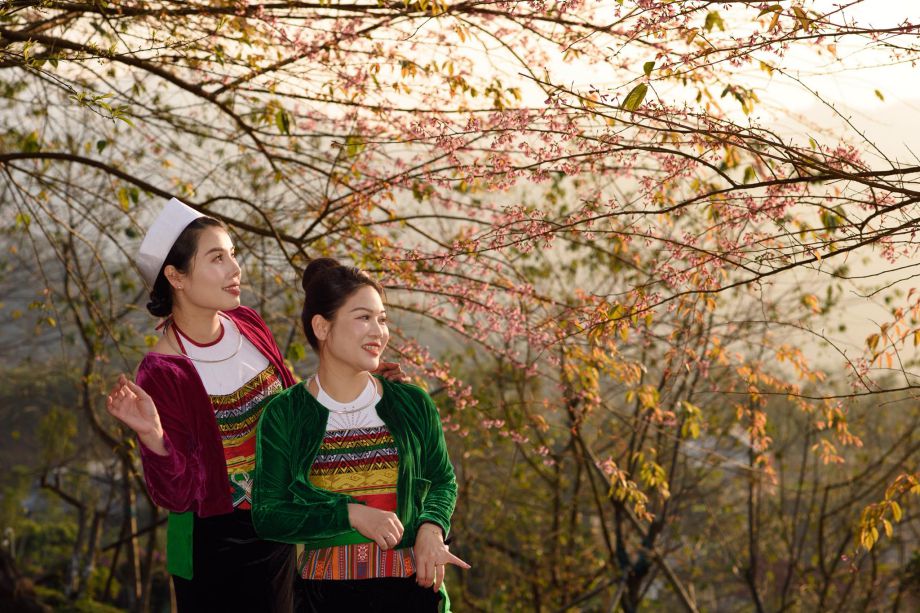 Muong women in traditional costumes stroll and take photos during the peach blossom season in Mung hamlet. Photo: Yen San