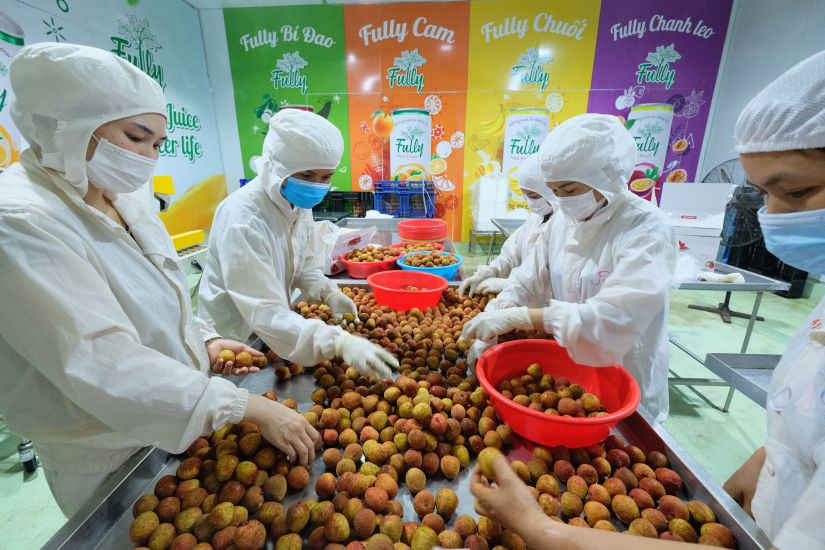 Agricultural exports in 2026 are expected to reach about 40 billion USD. Photo: Hai Nguyen