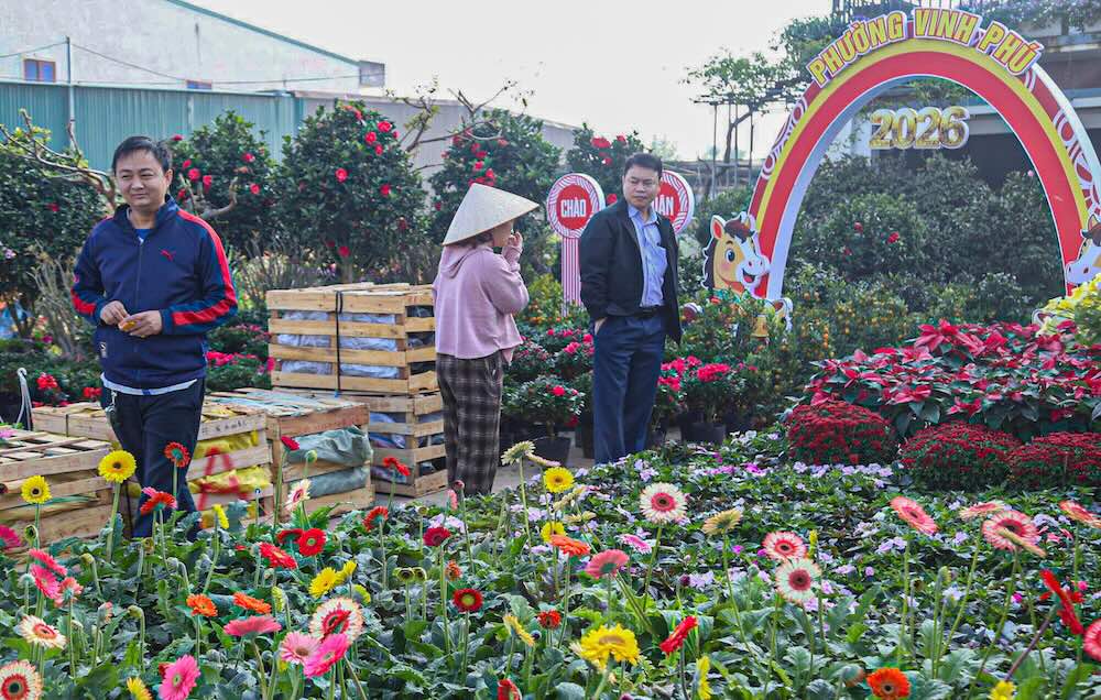 Nhung ngay nay, lang hoa Kim Phuc, Kim Chi (phuong Vinh Phu) – thu phu hoa, cay canh cua tinh Nghe An bat dau ron rang khong khi Tet. Sac xuan da hien dien som khi muon loai hoa khoe sac trong cac nha vuon, doc cac tuyen duong trong lang. 