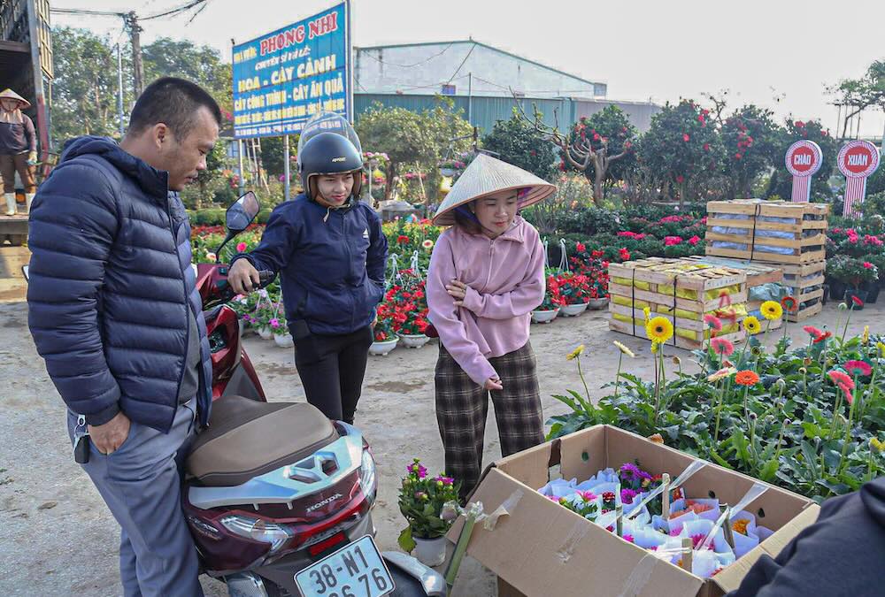 Nhieu nguoi chu dong den mua hoa, cay canh tu som.