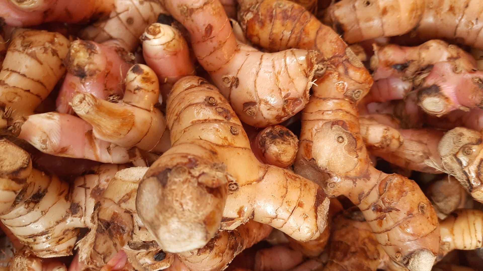 Bitter melon and unknown side effects