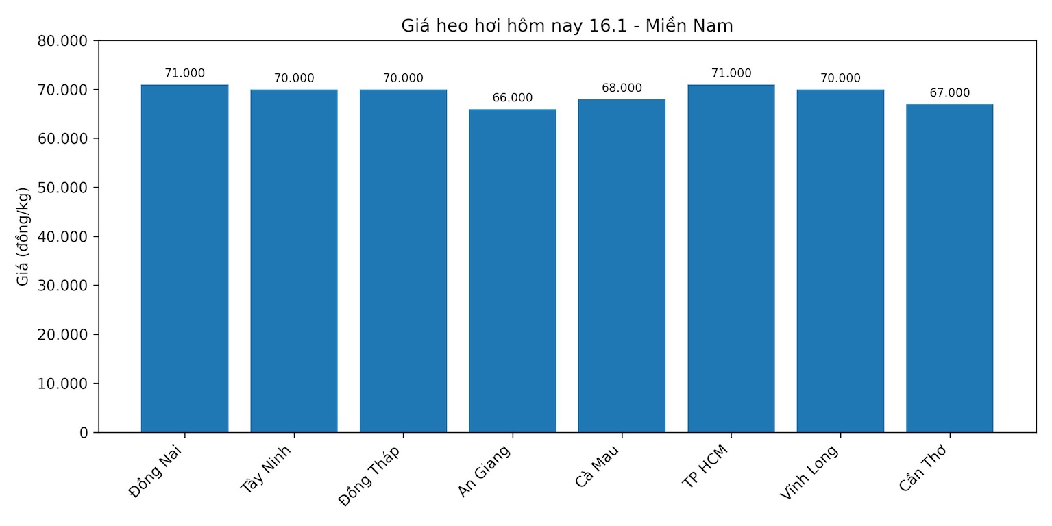 Gia heo hoi hom nay 16.1 tai khu vuc mien Nam. Do hoa: Thuy Linh
