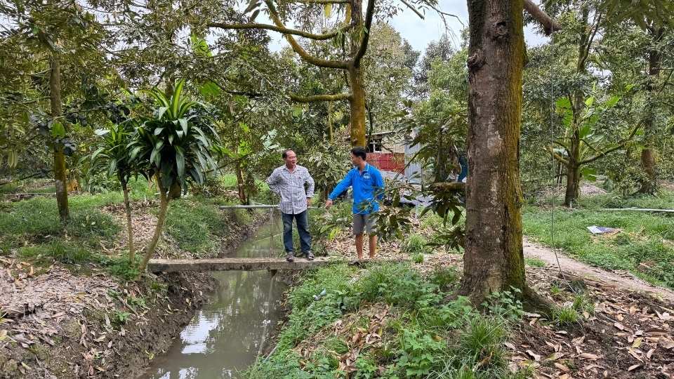 Nong dan xa Quoi Thien chu dong nao vet muong vuon, tru nuoc ngot bao ve sau rieng. Anh: Hoang Loc