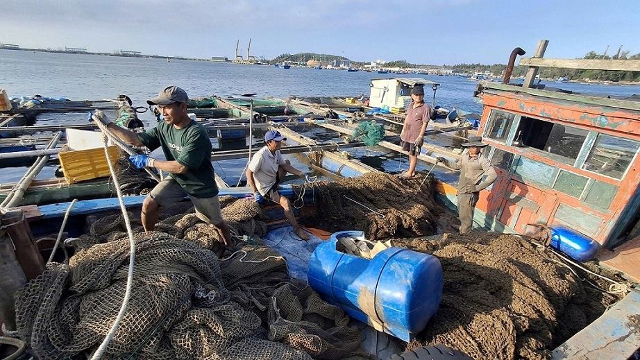 Sau khi duoc co quan chuc nang van dong, nguoi dan chap thuan thao do long be nuoi trong thuy san ra khoi khu vuc ra vao cang Dung Quat. Anh: Vien Nguyen