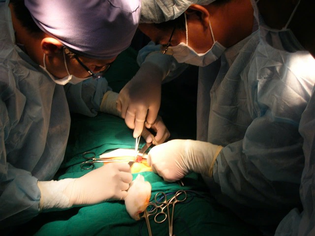 Bladder stones in children are at risk of kidney failure if detected late. Photo: BVCC