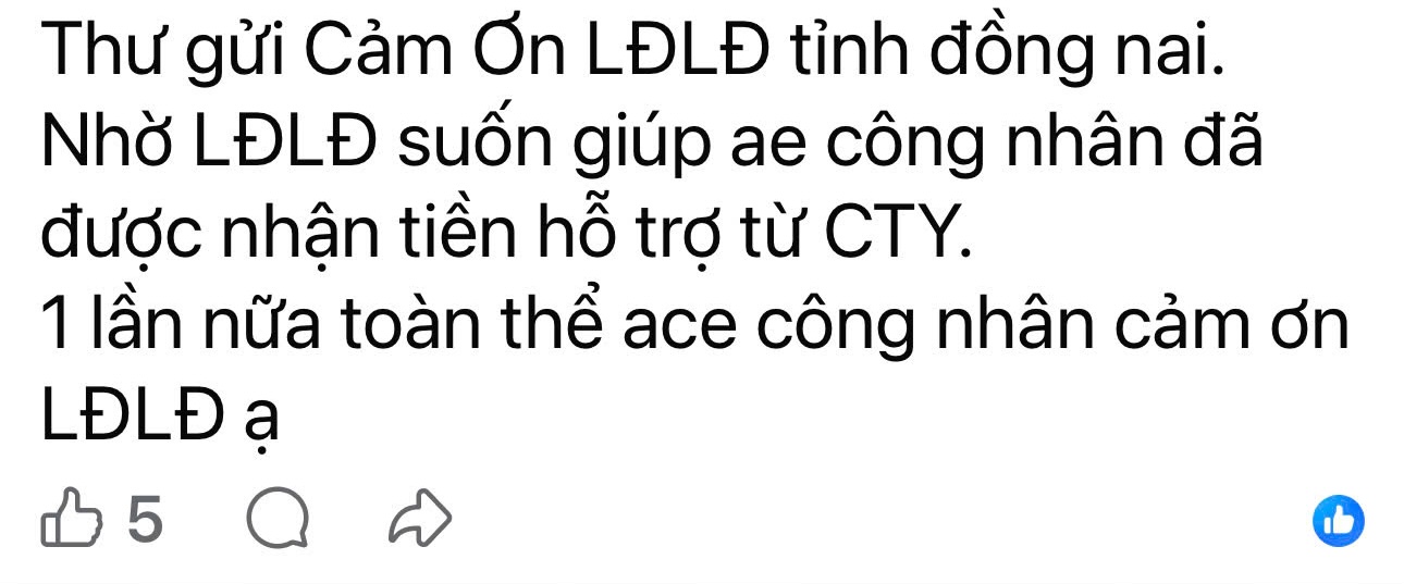 Nguoi lao dong Cong ty S.L.F (Khu cong nghiep Bau Xeo, xa Trang Bom, tinh Dong Nai) cam on LDLD tinh Dong Nai. Anh: Cong doan cung cap