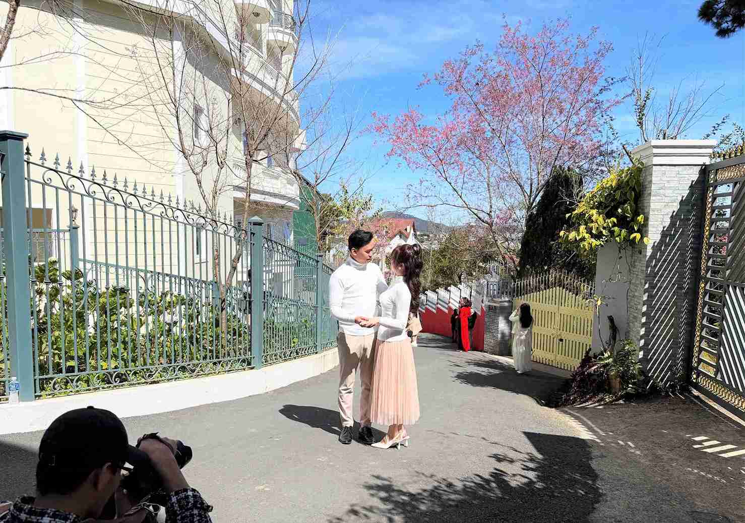 Du khach tim den nhung cay mai anh dao dang no ro de luu lai khoanh khac dep. Anh: Phuc Khanh 