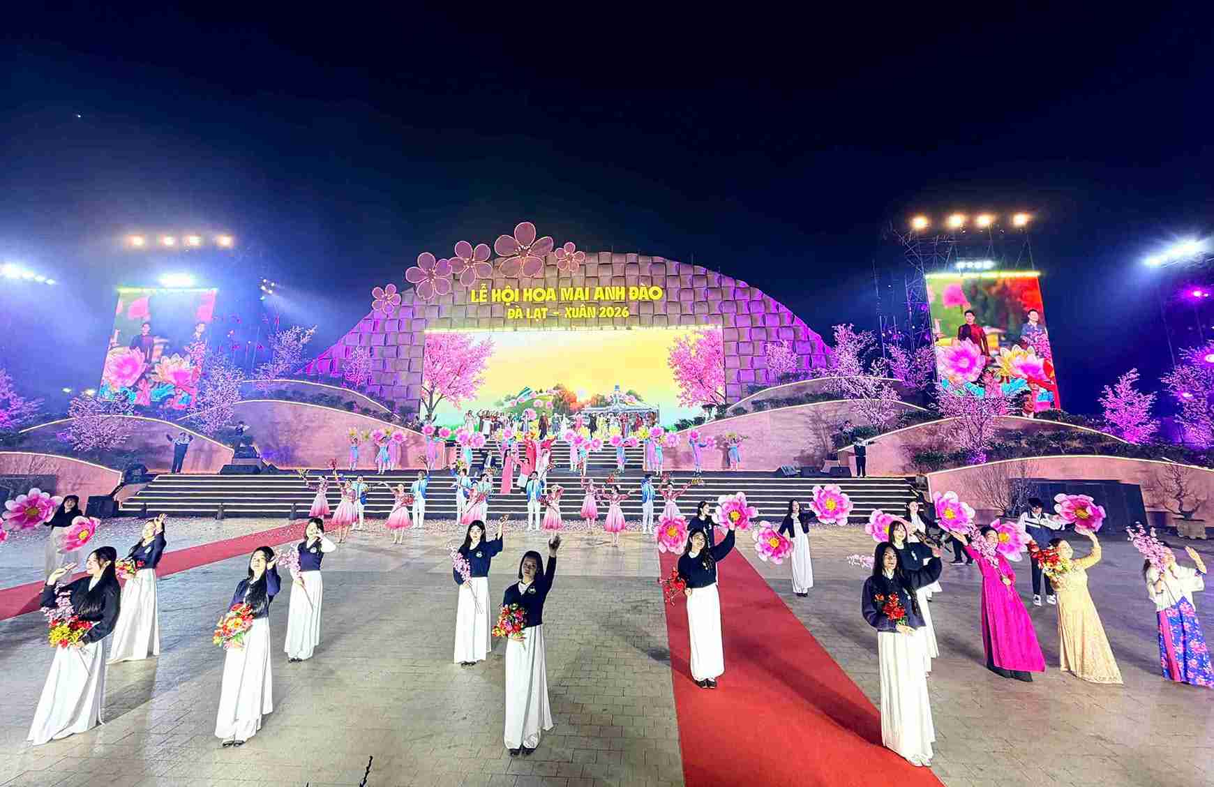 Opening stage of the Da Lat Cherry Blossom Festival, brilliant spring colors. Photo: Phuc Khanh