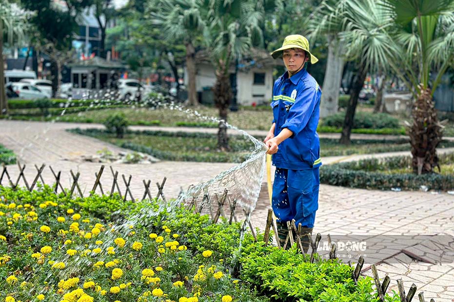 Theo ke hoach cua TP Ha Noi, Cong vien Indira Gandhi thuoc nhom cai tao muc do 2, tap trung sua chua, nang cap cac hang muc ha tang nhung khong lam thay doi cau truc cot loi. Thanh pho dat muc tieu giu nguyen cot nen, toi da hoa dien tich cay xanh, mat nuoc.